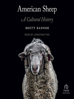 American Sheep - Audiobook